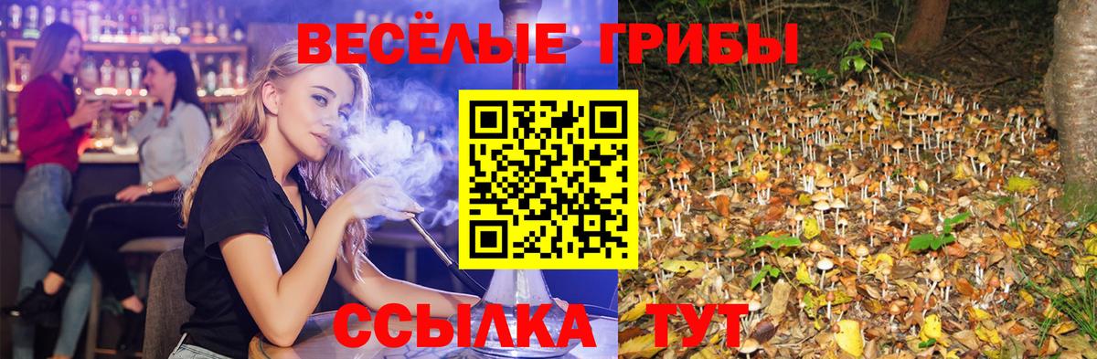 Псилоцибиновые грибы Psilocybine cubensis  Алексин 